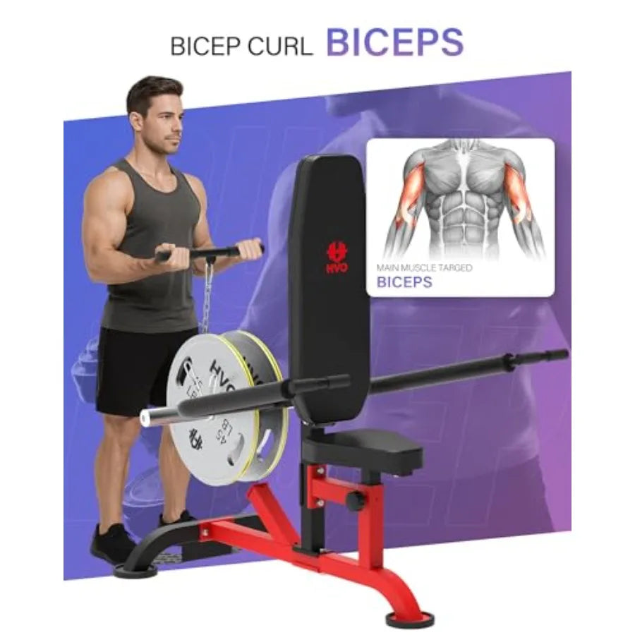 Seated Dip Machine Tricep.