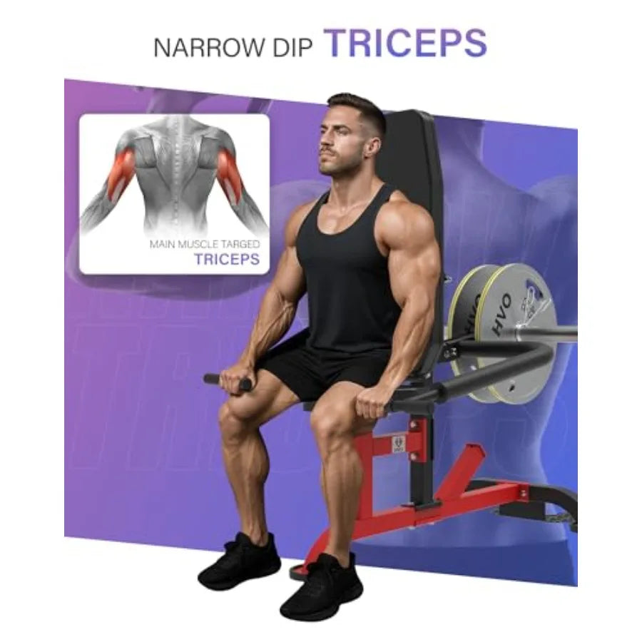 Seated Dip Machine Tricep.