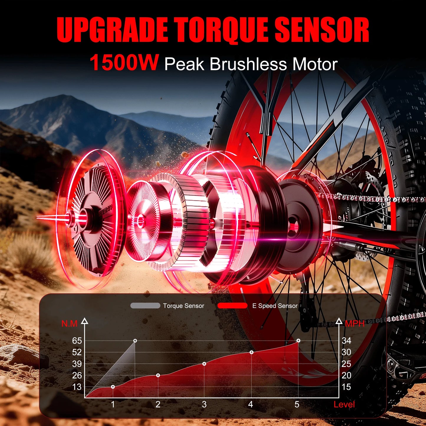 1500W Fat Tire Electric Bike.